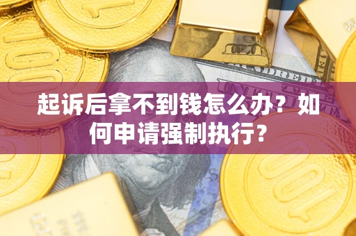 济南起诉后拿不到钱怎么办？如何申请强制执行？