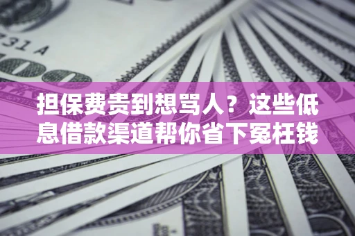 济南担保费贵到想骂人？这些低息借款渠道帮你省下冤枉钱