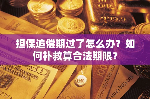 济南担保追偿期过了怎么办？如何补救算合法期限？