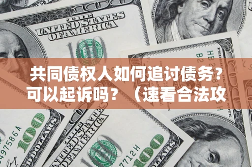济南共同债权人如何追讨债务？可以起诉吗？（速看合法攻略）